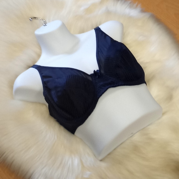 Curve Muse Satin & Mesh Striped Bra - Picture 11 of 16